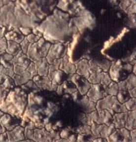 фильтр-масляный-гидравлический-под-микроскопом